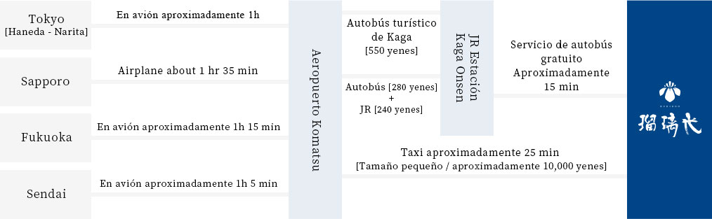 En caso de ir en avión